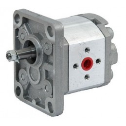 Pompa a Ingranaggi Galtech...